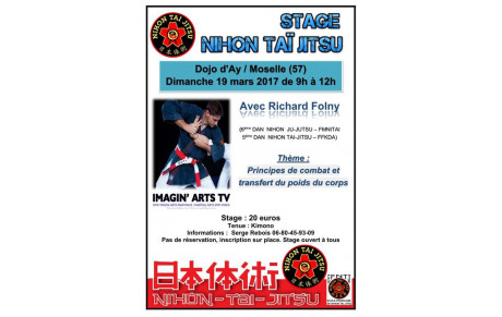 Stage de Nihon Tai Jitsu en Moselle